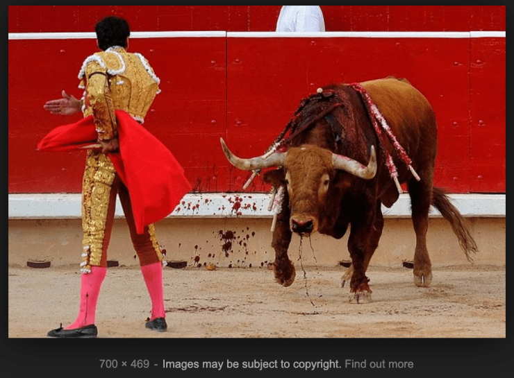 Screen Shot 2019-05-06 at 7.57.25 AM