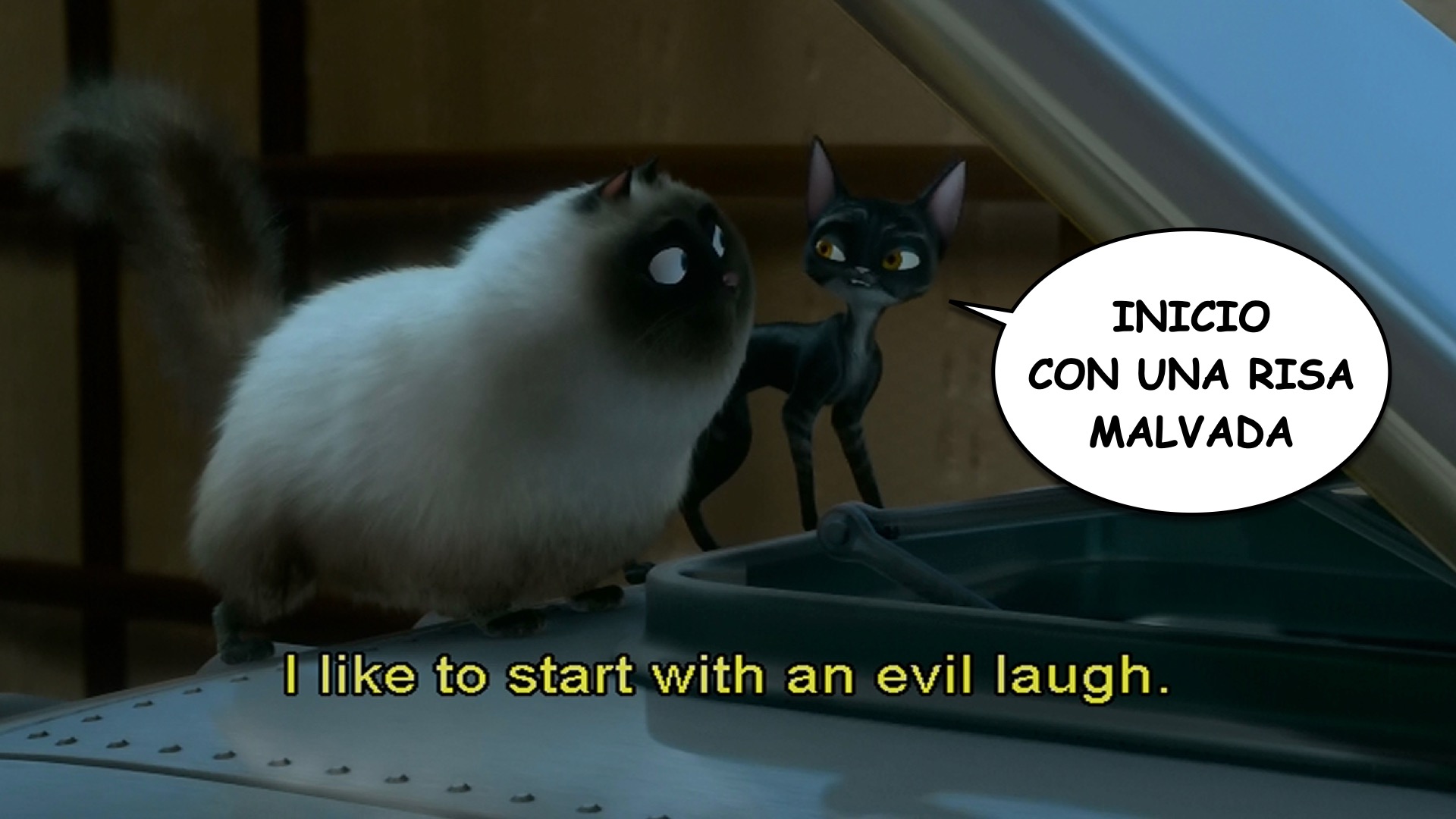 Bolt spanish-ace.com Learn Spanish.010