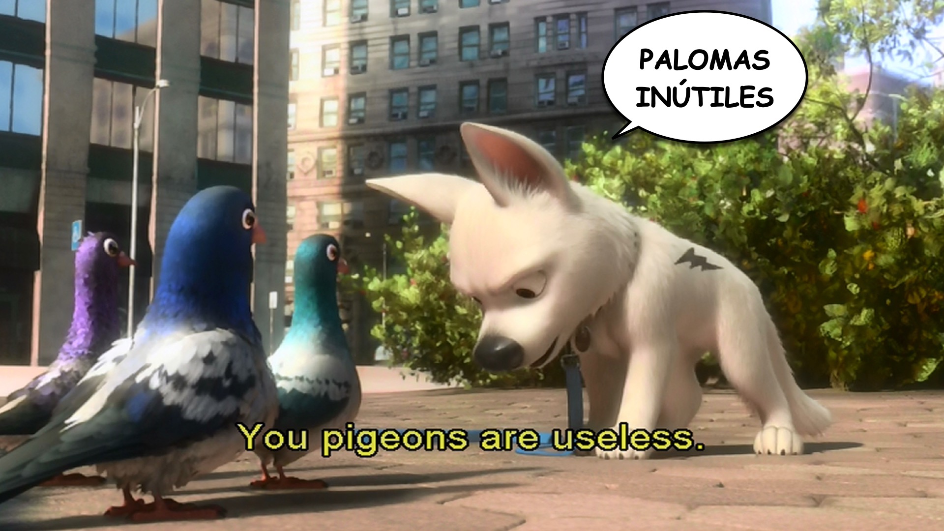 Bolt spanish-ace.com Learn Spanish.017