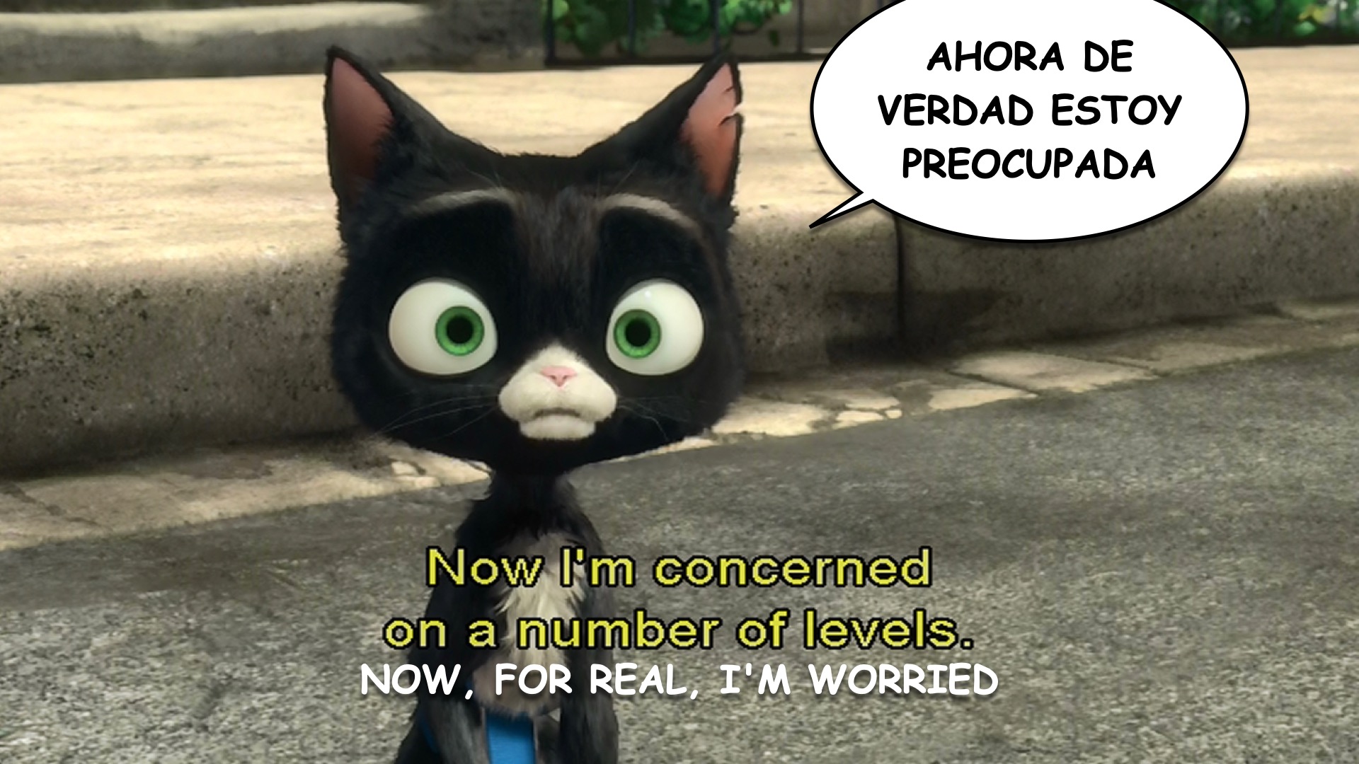 Bolt spanish-ace.com Learn Spanish.020