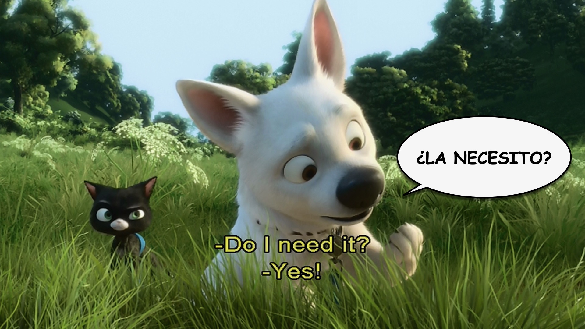 Bolt spanish-ace.com Learn Spanish.023