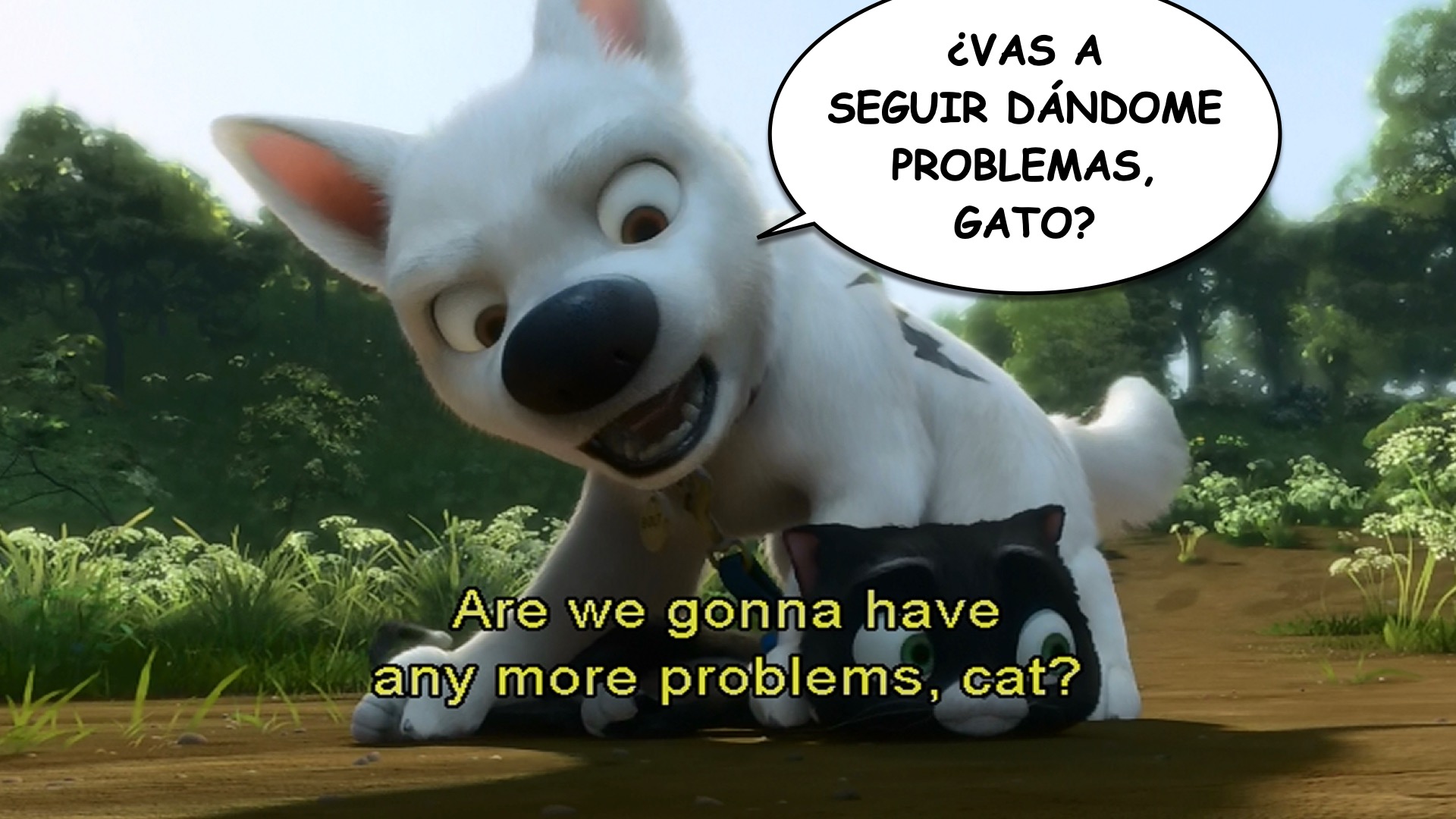 Bolt spanish-ace.com Learn Spanish.025