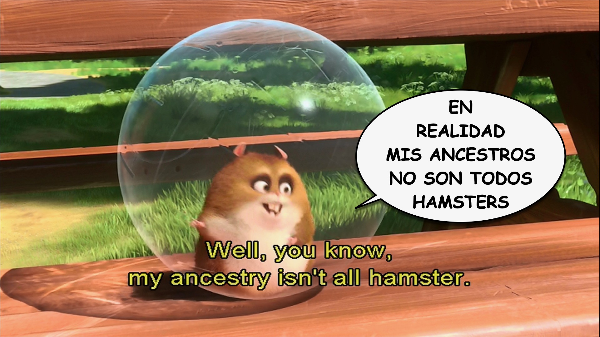 Bolt spanish-ace.com Learn Spanish.028