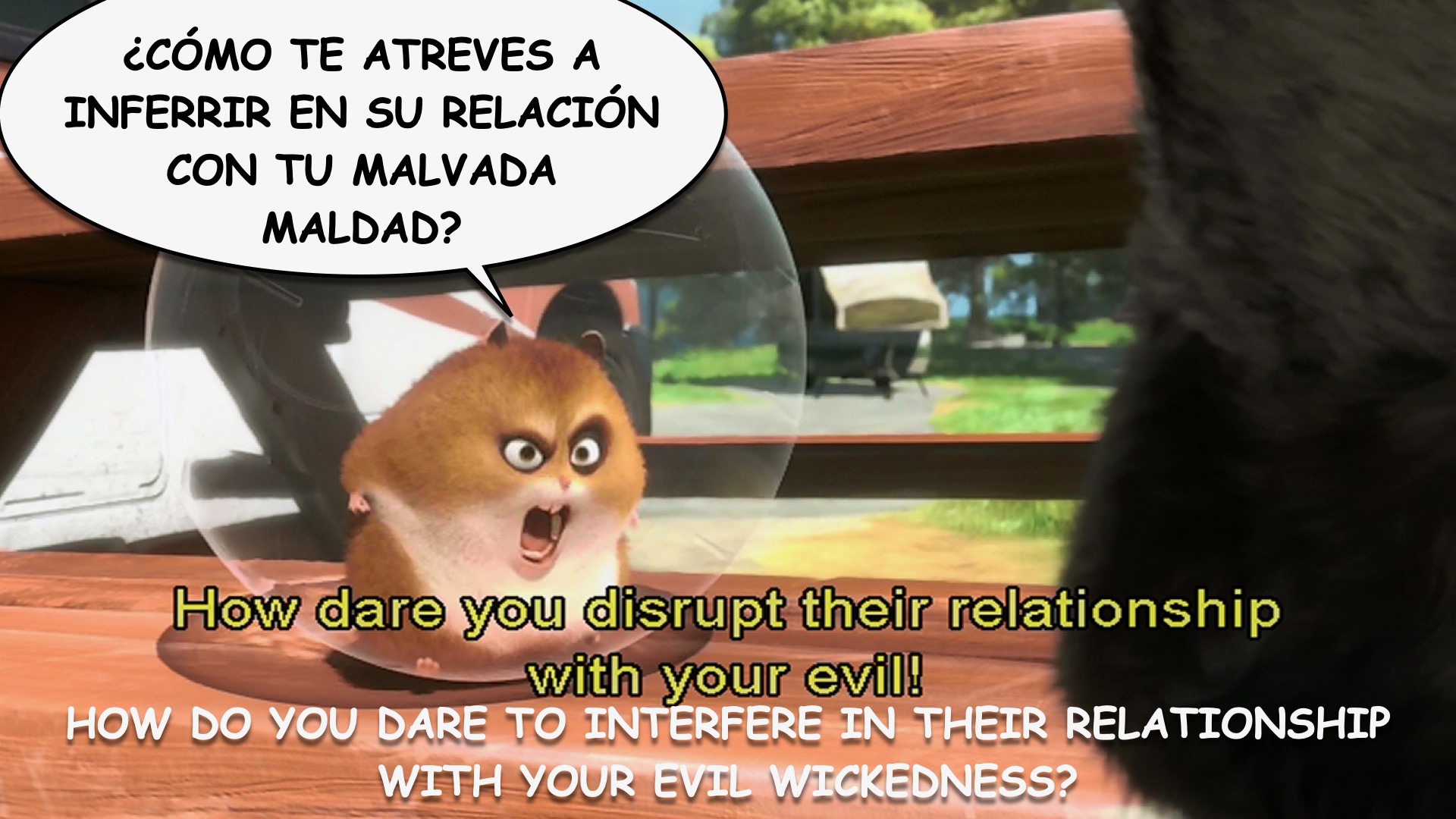 Bolt spanish-ace.com Learn Spanish.031