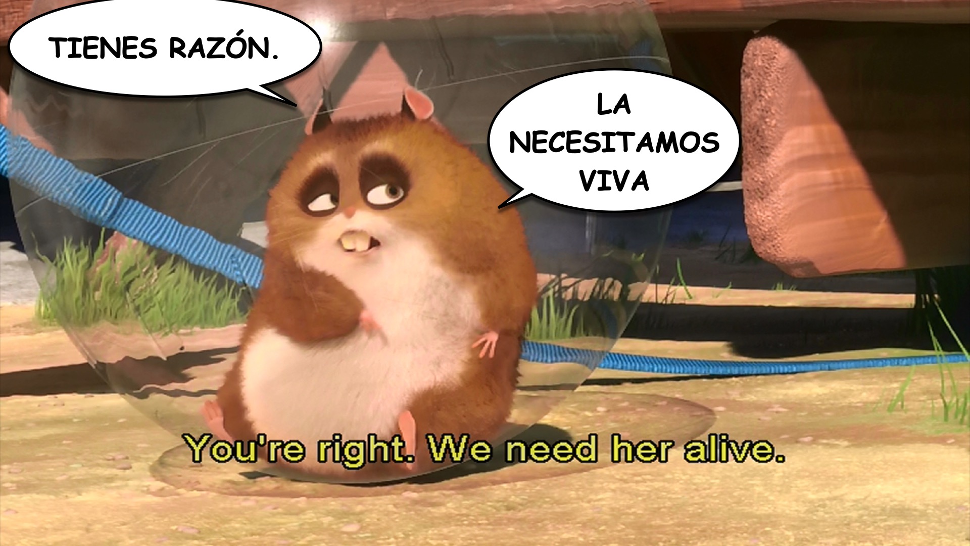 Bolt spanish-ace.com Learn Spanish.032