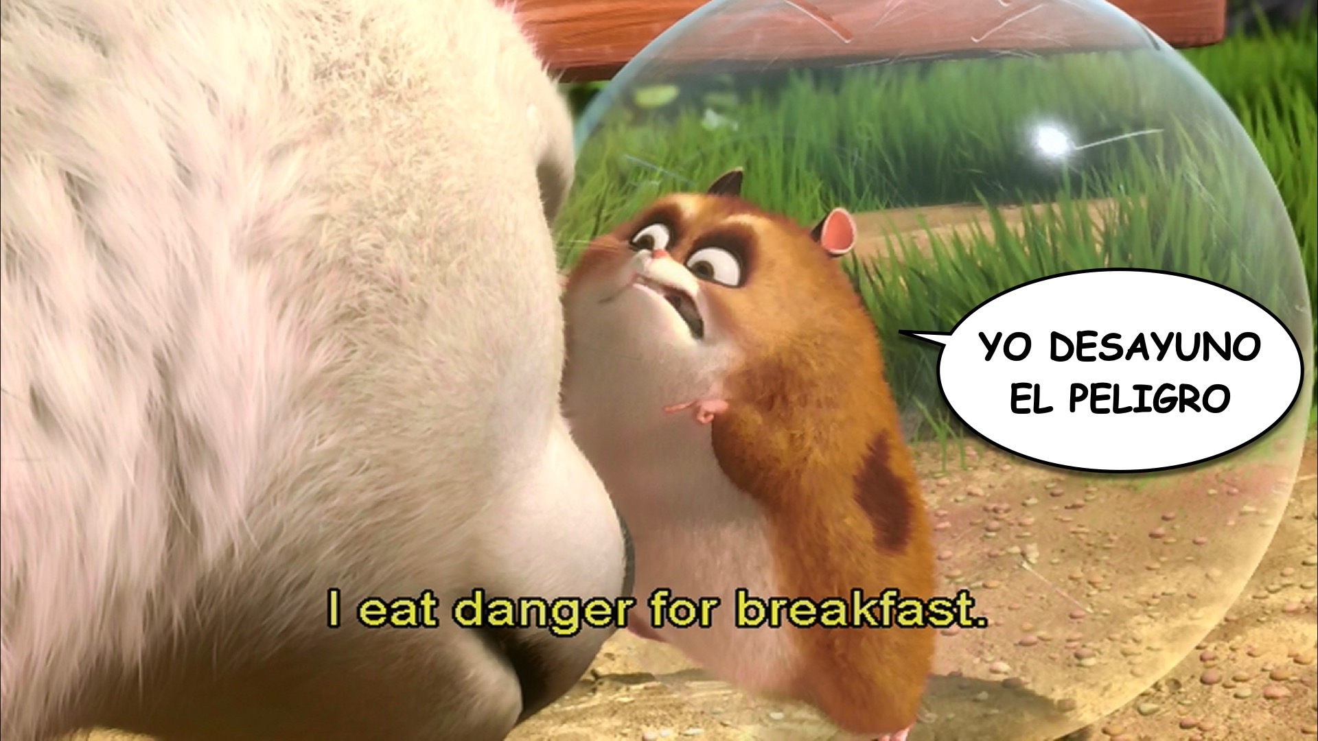 Bolt spanish-ace.com Learn Spanish.033