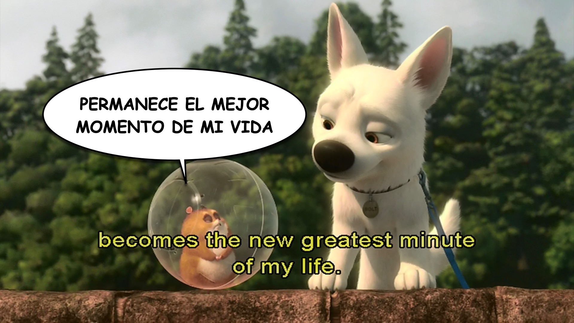 Bolt spanish-ace.com Learn Spanish.035