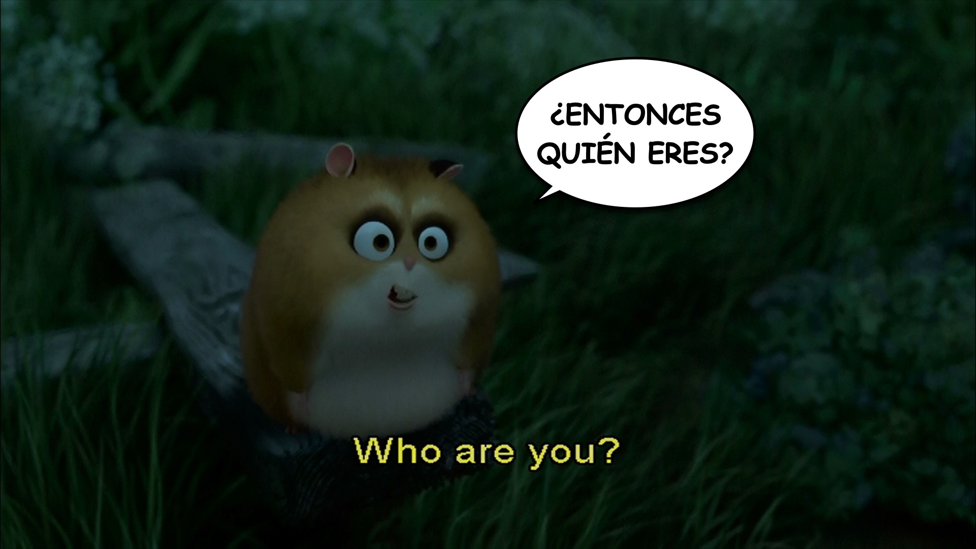 Bolt spanish-ace.com Learn Spanish.040