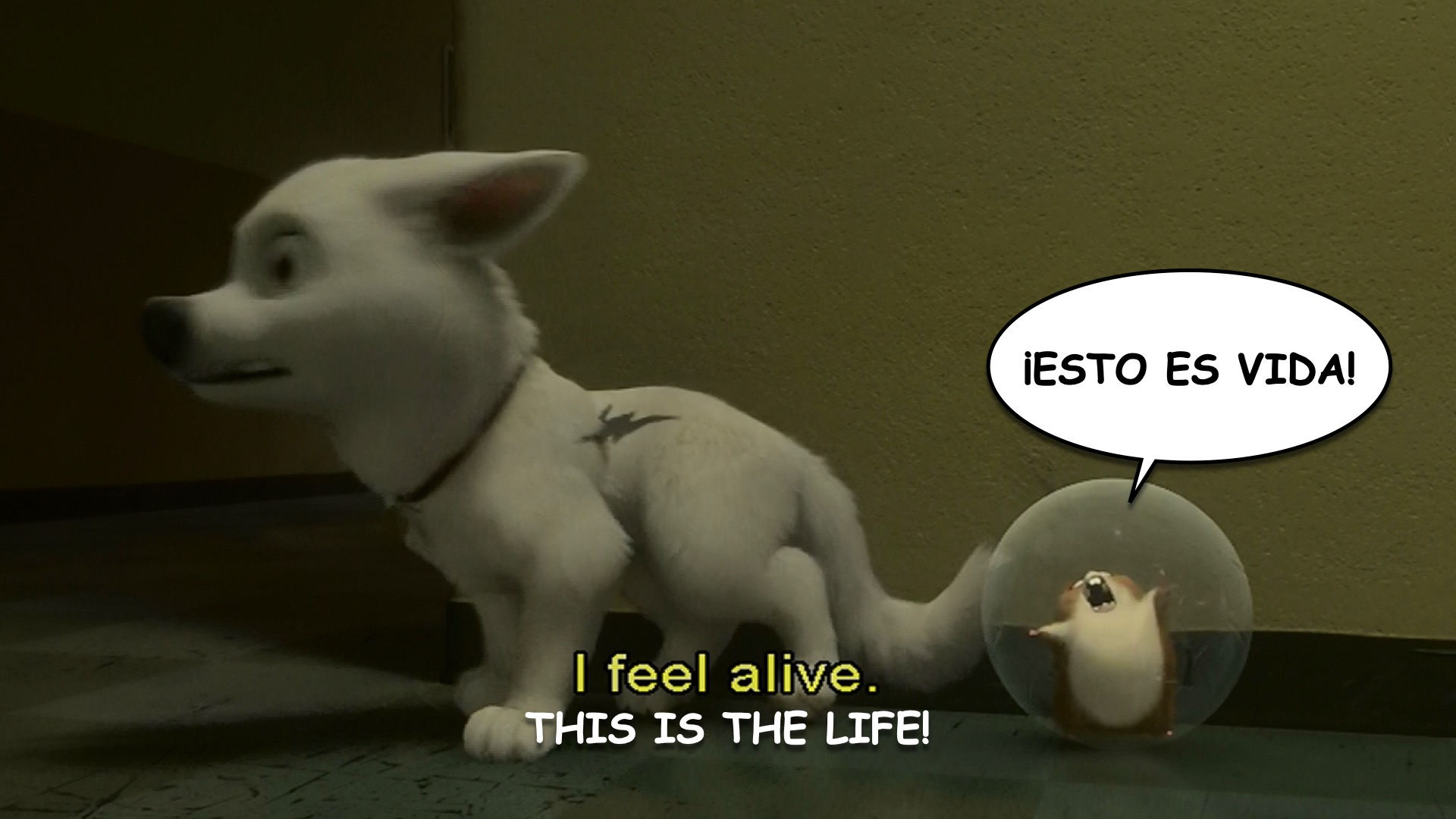 Bolt spanish-ace.com Learn Spanish.043