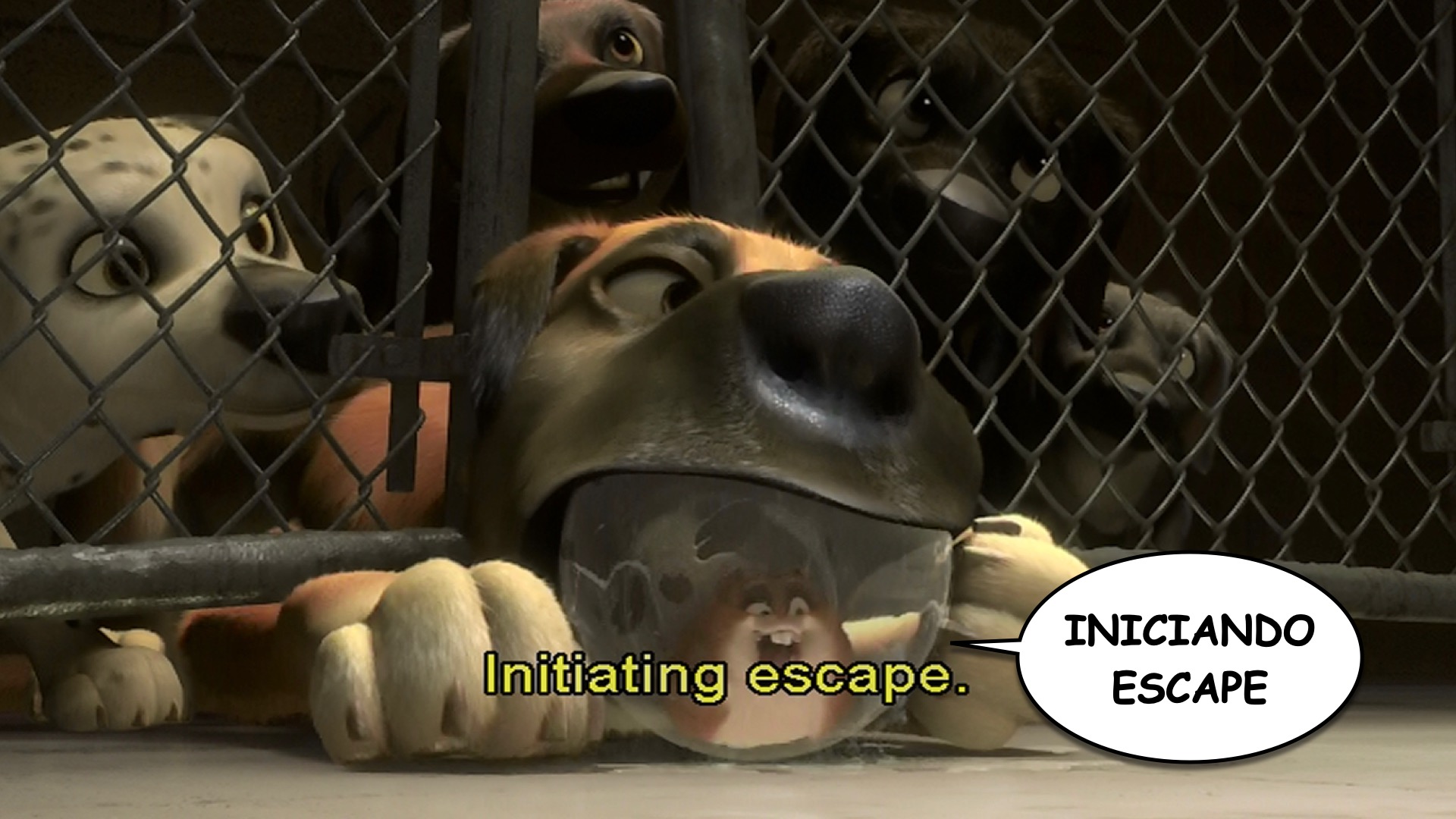 Bolt spanish-ace.com Learn Spanish.045