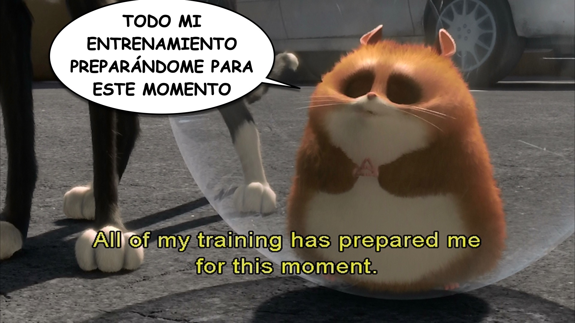 Bolt spanish-ace.com Learn Spanish.046