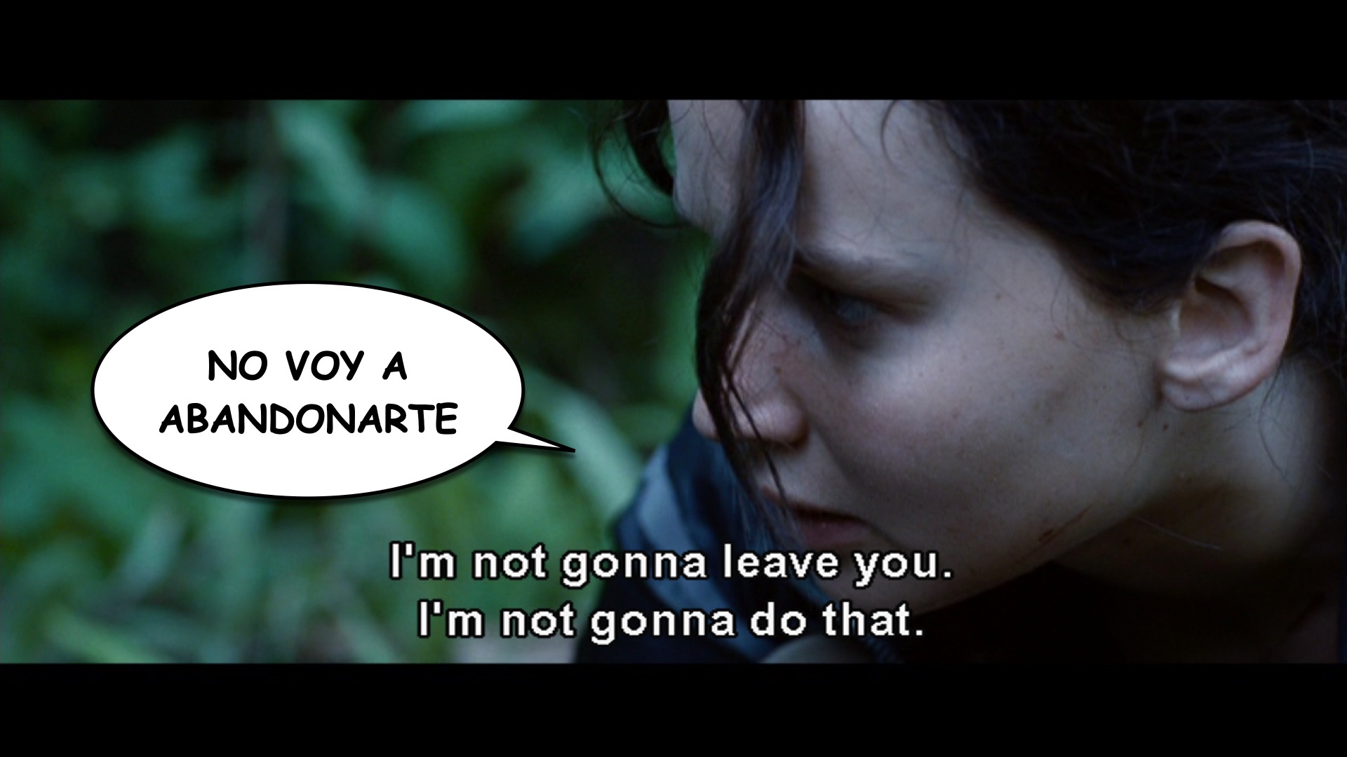 Hunger Games 4 The Arena.010