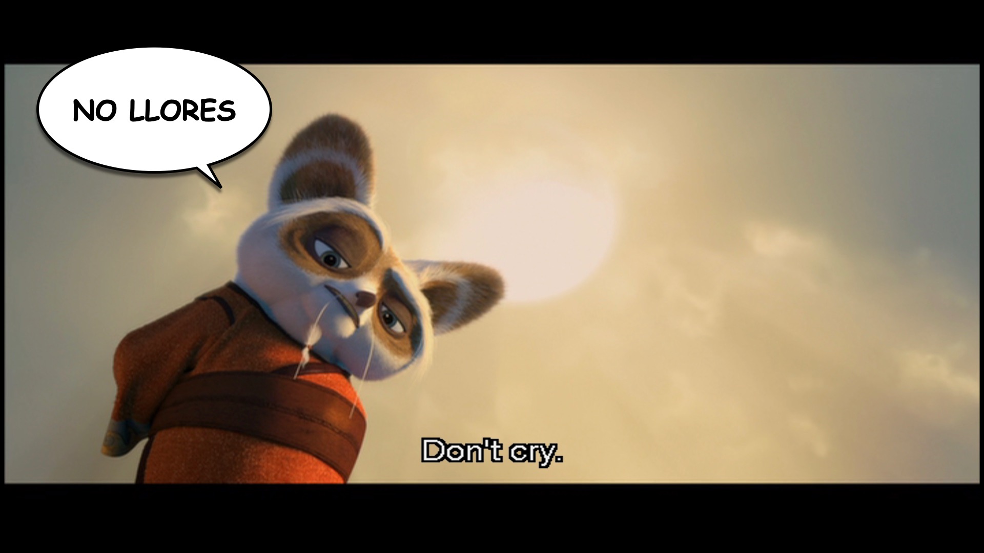 Kung Fu Panda spanish-ace.com Learn Spanish.036