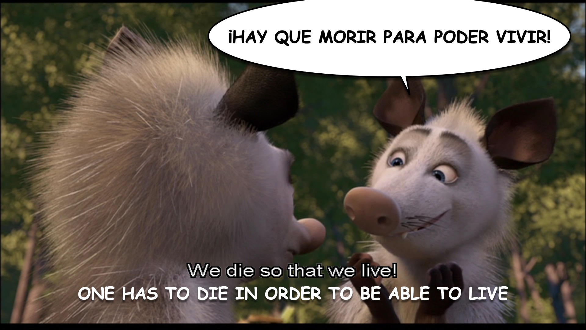 Over the Hedge spanish-ace.com.006