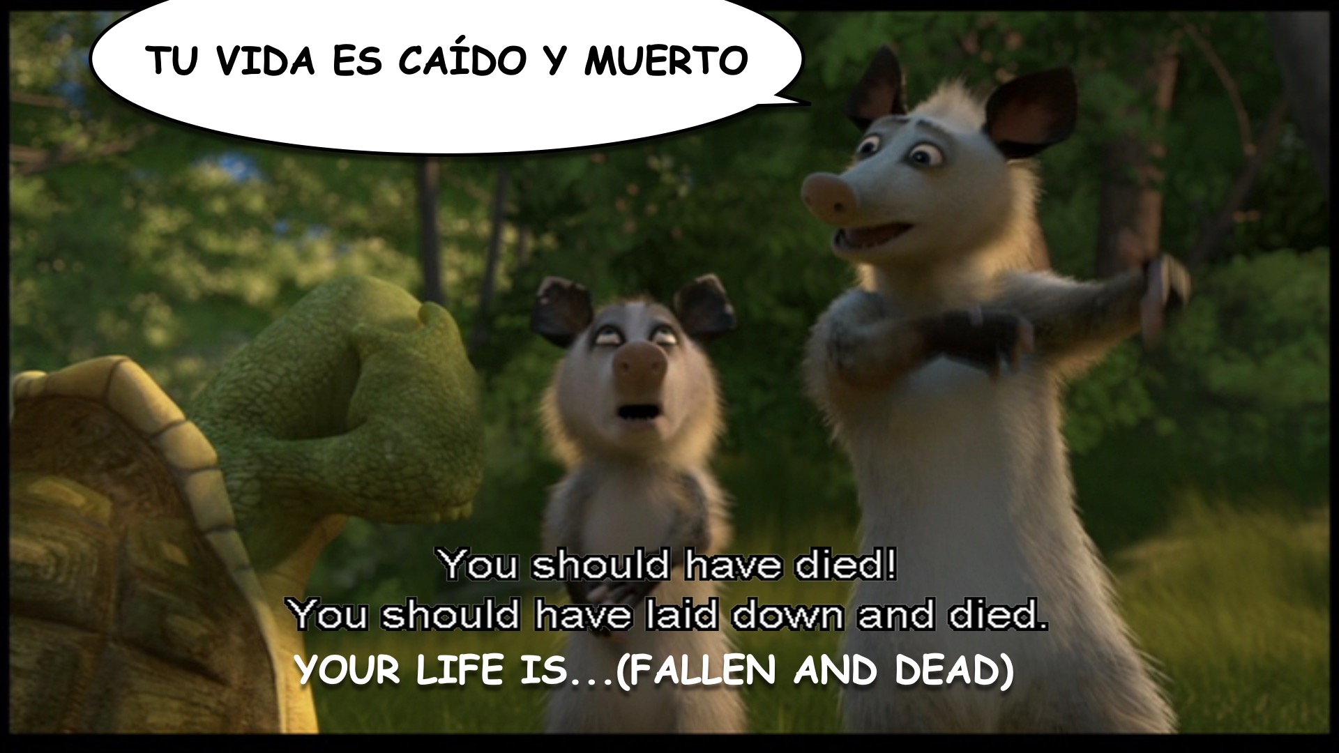 Over the Hedge spanish-ace.com.014