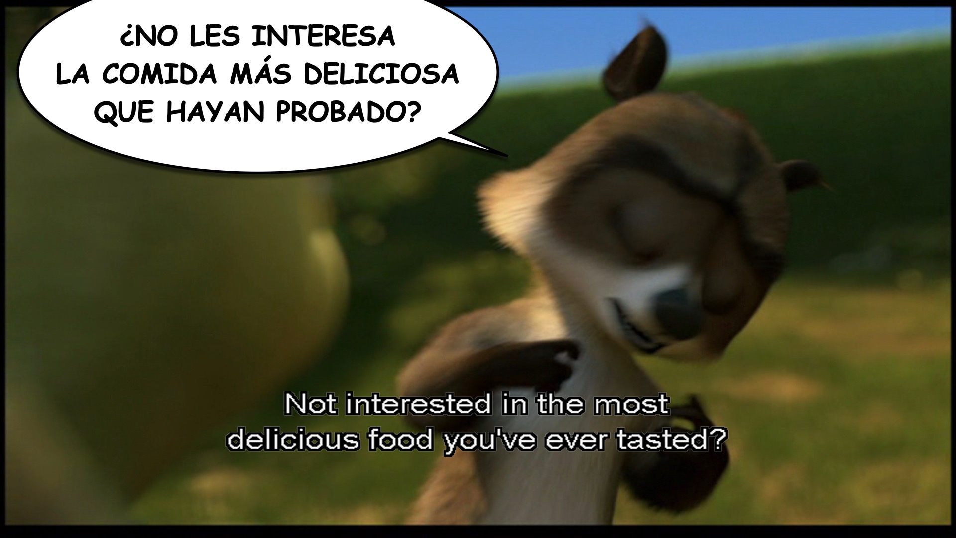 Over the Hedge spanish-ace.com.017