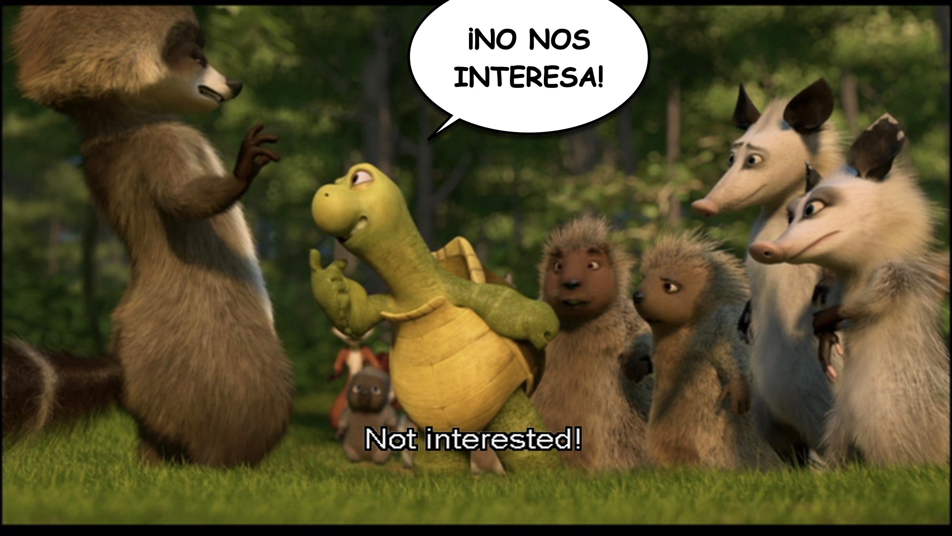 Over the Hedge spanish-ace.com.018