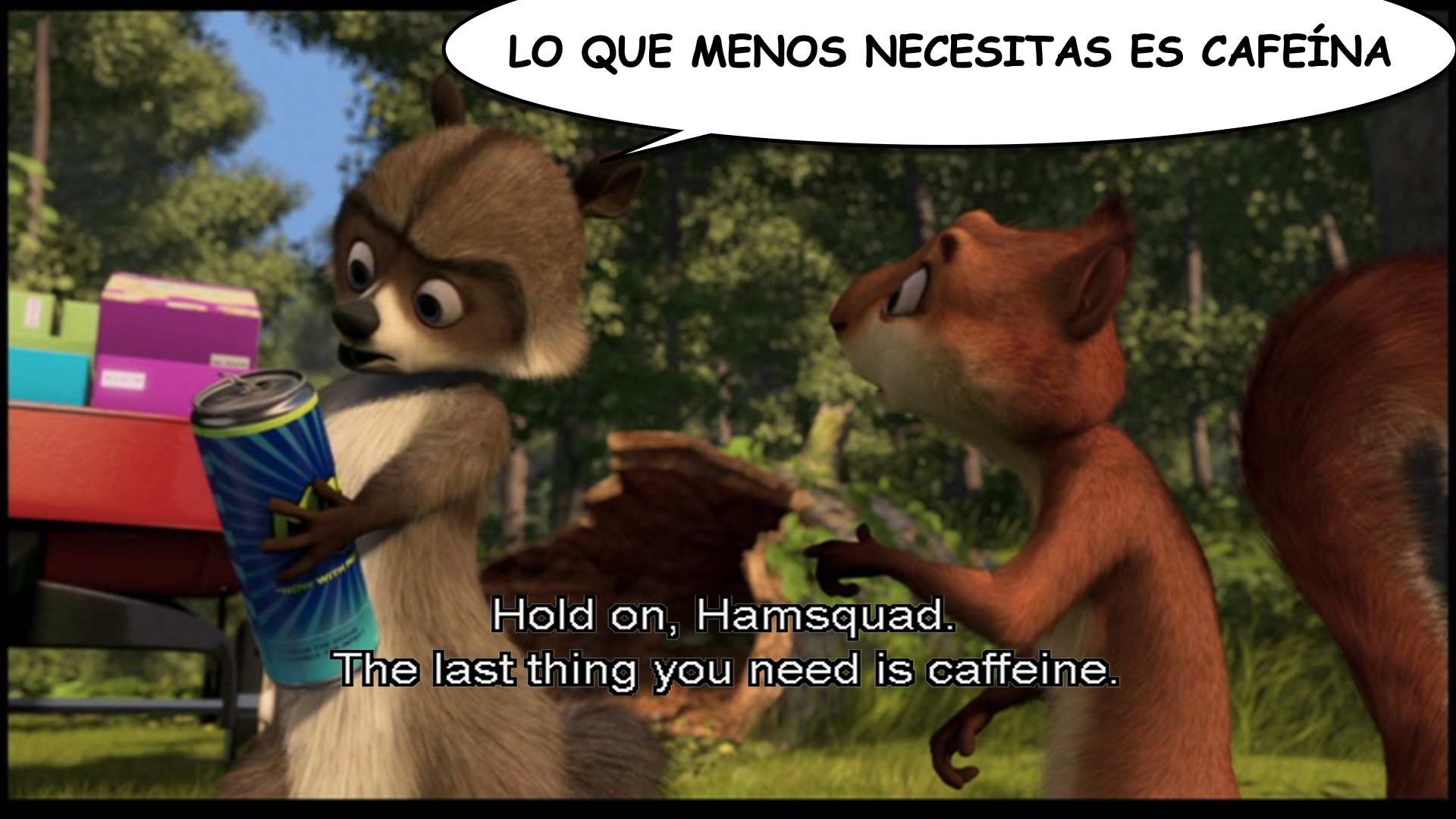 Over the Hedge spanish-ace.com.036