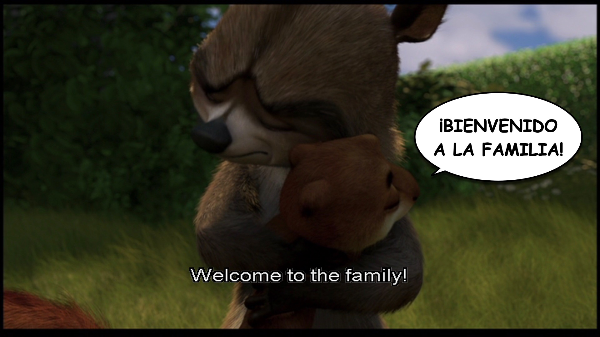 Over the Hedge spanish-ace.com.052