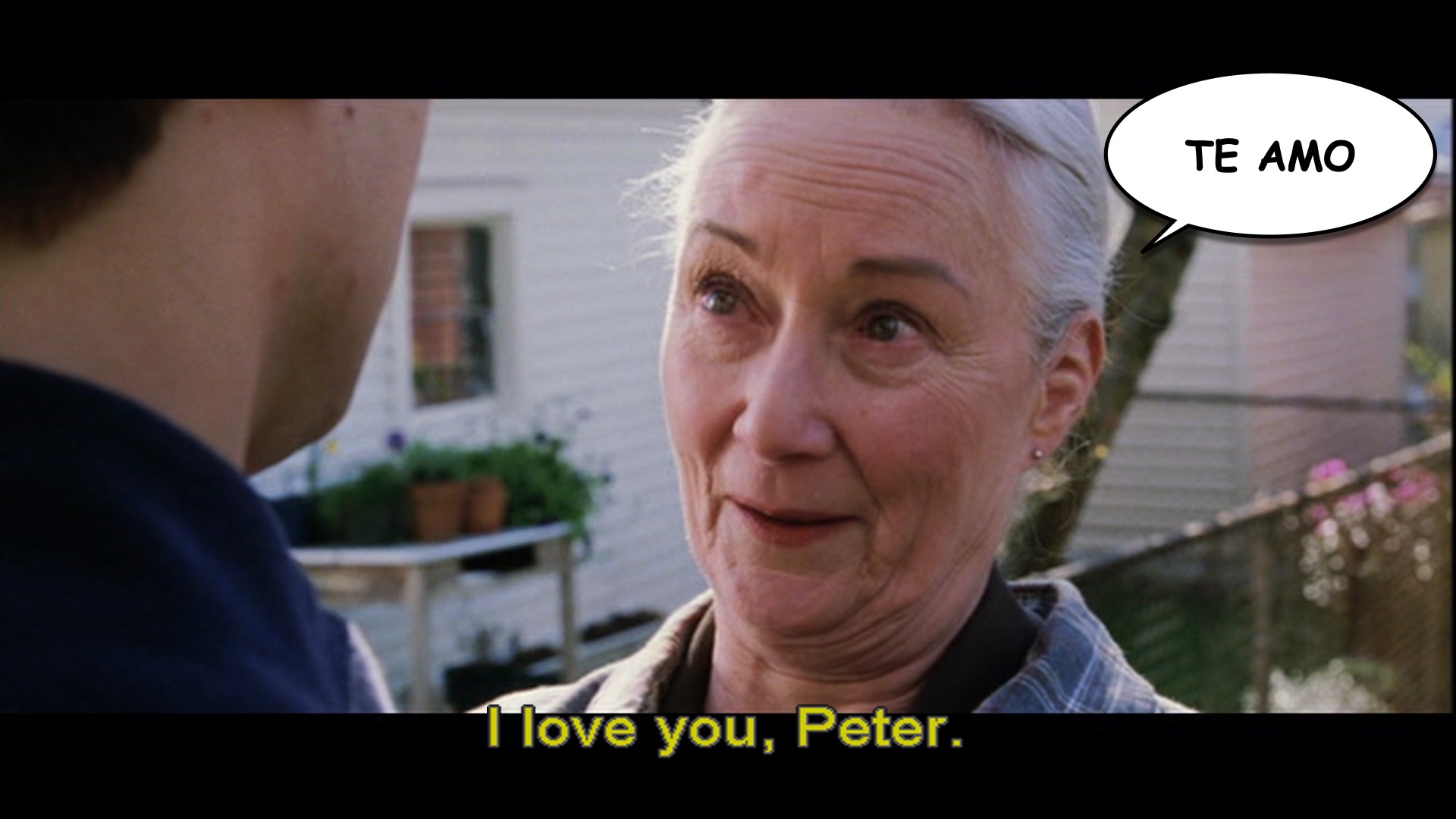 spider-man 2 spanish-ace.com.041