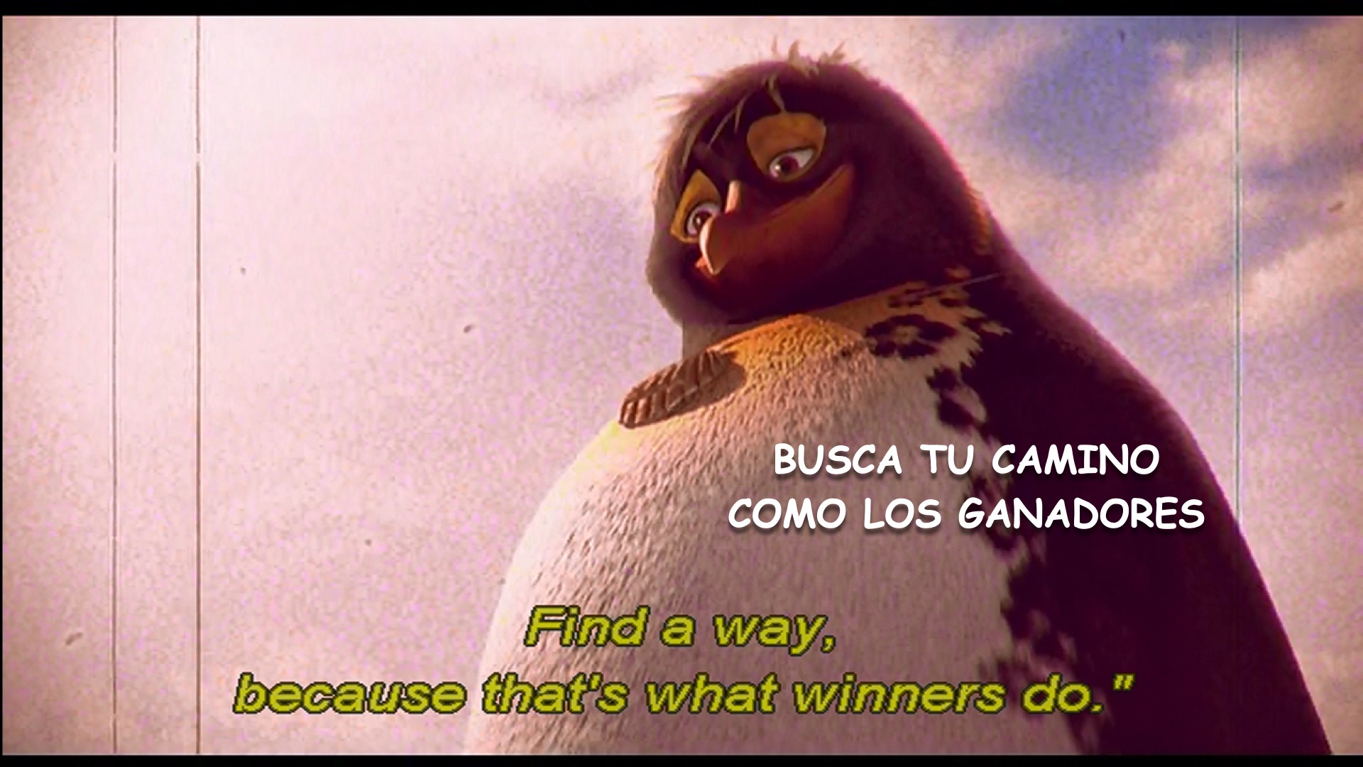 Surf's Up spanish-ace.com.006