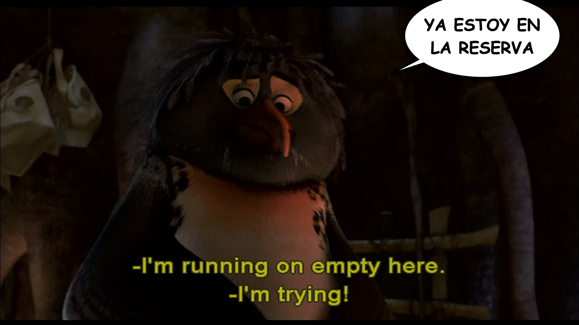 Surf's Up spanish-ace.com.020